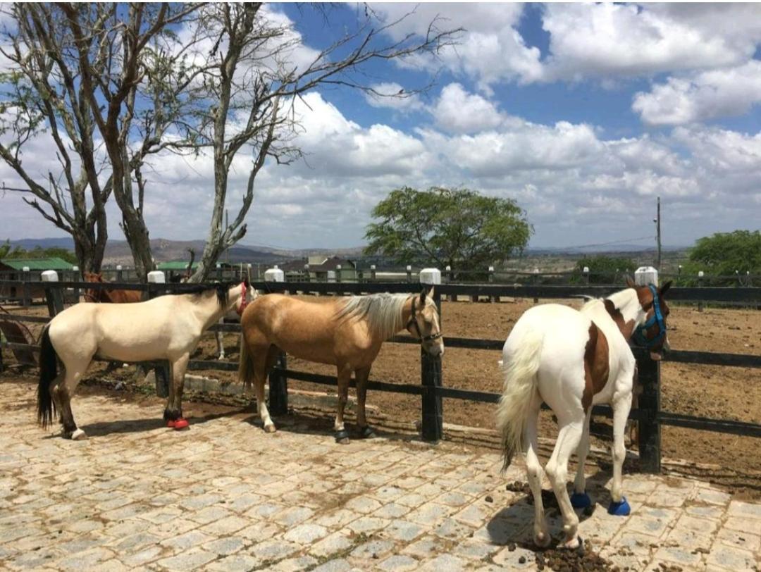 Apart Hotel Fazenda Monte Castelo - Gravata Экстерьер фото
